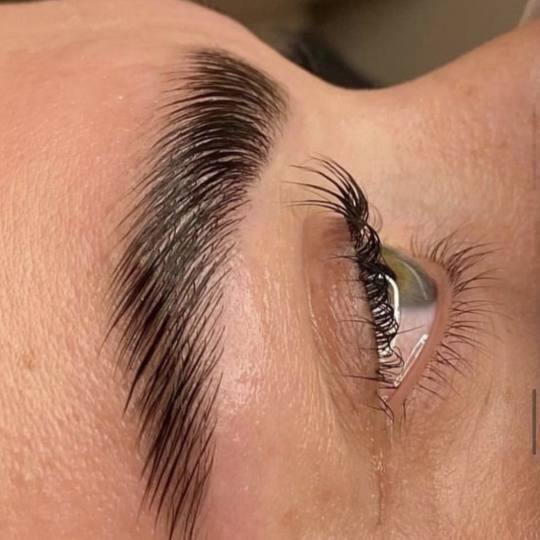 Nini beauty studio #beograd Obrve Brow lift