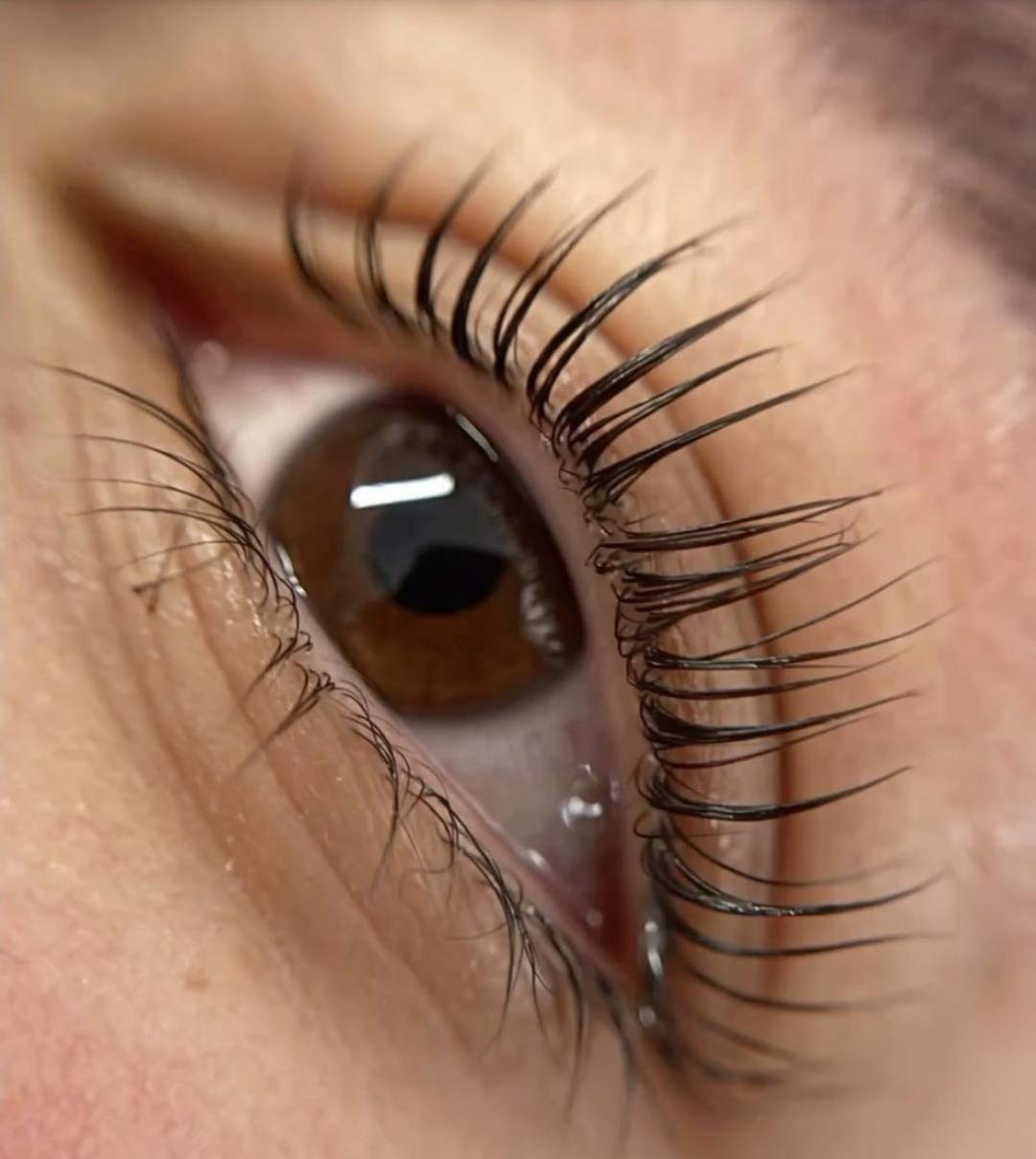 Lash lift + botox (nega)+ farbanje trepavica - Esthetique Privé, Beograd Trepavice Lice Trepavice, Beograd, Centar, Stari grad, Dorćol