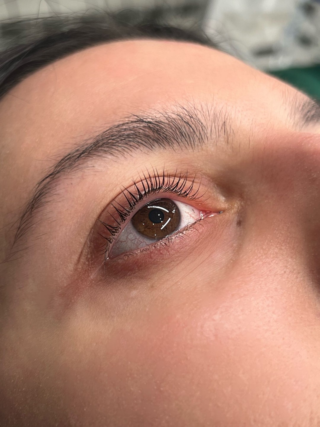 Alexandria Brow&Beauty lounge #beograd Trepavice Lash lift