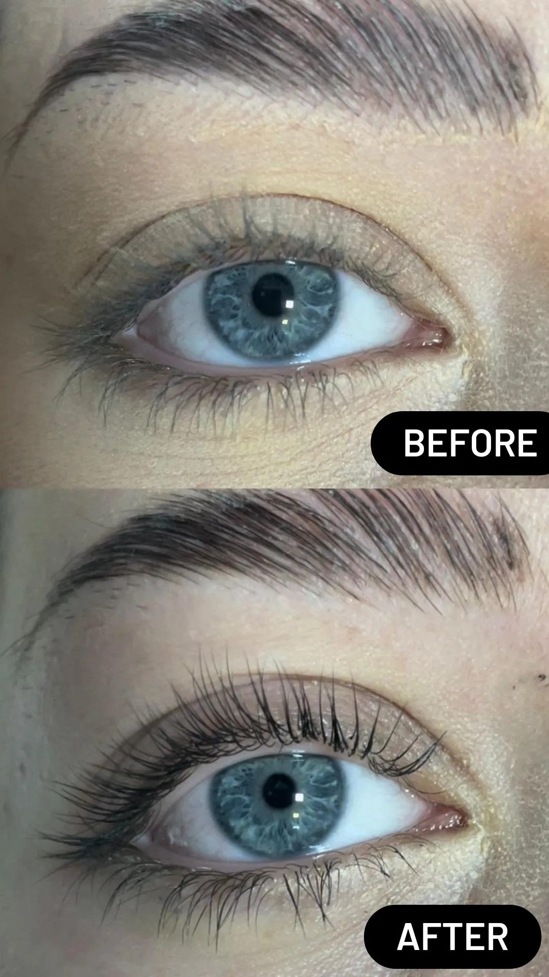VIKTIA care atelier #beograd Trepavice Lash lift + farbanje trepavica