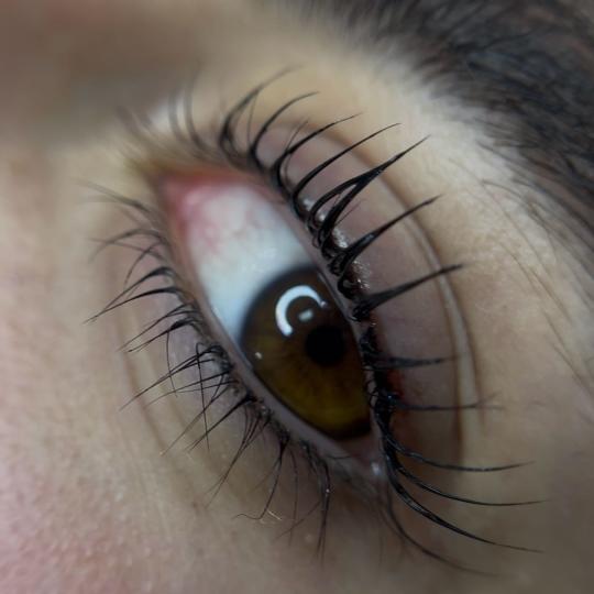 Hermanita beauty studio #beograd Trepavice Beauty lash box