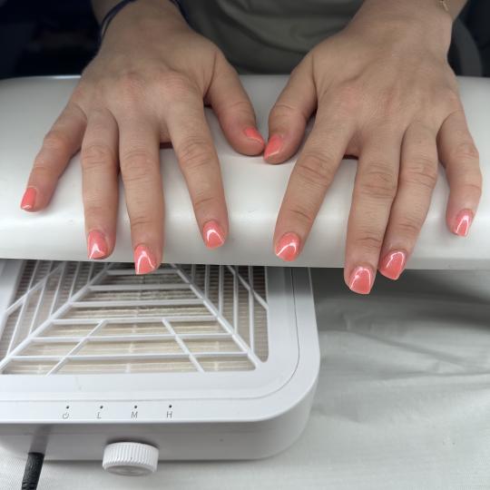 Petra beauty concept #beograd Manikir Manikir + gel lak Manikir
