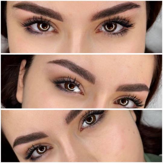 Esthetique Privé #beograd Trajna šminka Trajna šminka obrva - PHI BROWS MICROBLADING