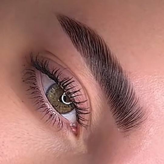 L’Avenue #beograd Obrve Brow lift - laminacija obrva sa farbanjem + botox Laminacija obrva (Brow L