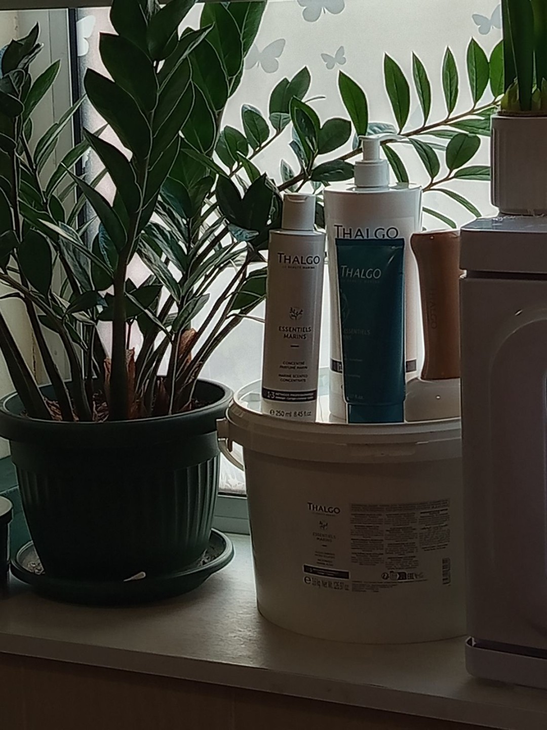 Relax body centar #zajecar Tretman lica Thalgo tretman tela algama - za dame