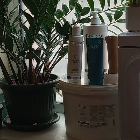 Relax body centar #zajecar Tretman lica Thalgo tretman tela algama - za dame 💠 THALA SLIM tretman