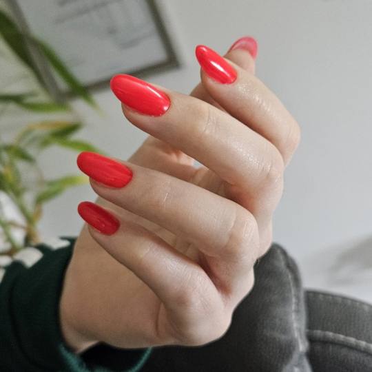 Beauty centar by Alex R #novisad Korekcija noktiju Korekcija noktiju + trajni lak - L dužina