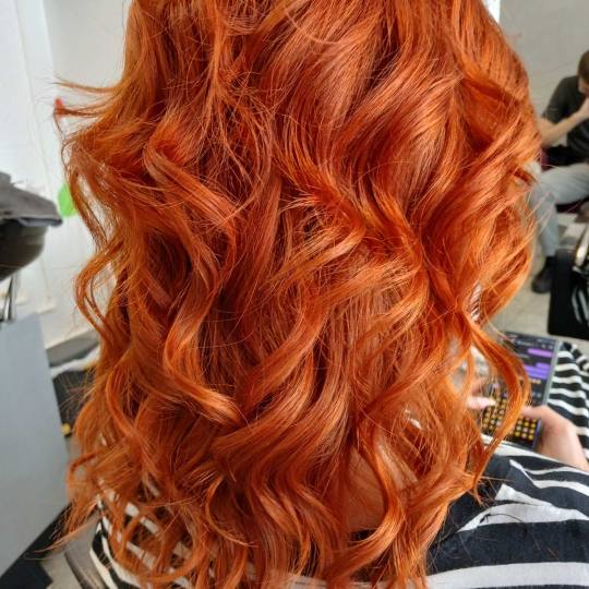 Beauty in Style DM #novisad Farbanje kose Farbanje izrastka - sve dužine kose