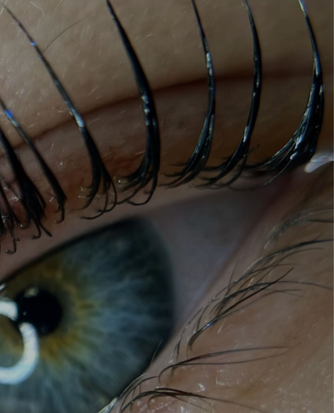 Beauty lash box - Hermanita beauty studio, Beograd Trepavice Lice Trepavice, Beograd, Centar, Stari grad, Dorćol