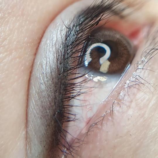 AmiSo Beauty Studio #novisad Trajna šminka Trajna šminka - linija između trepavica