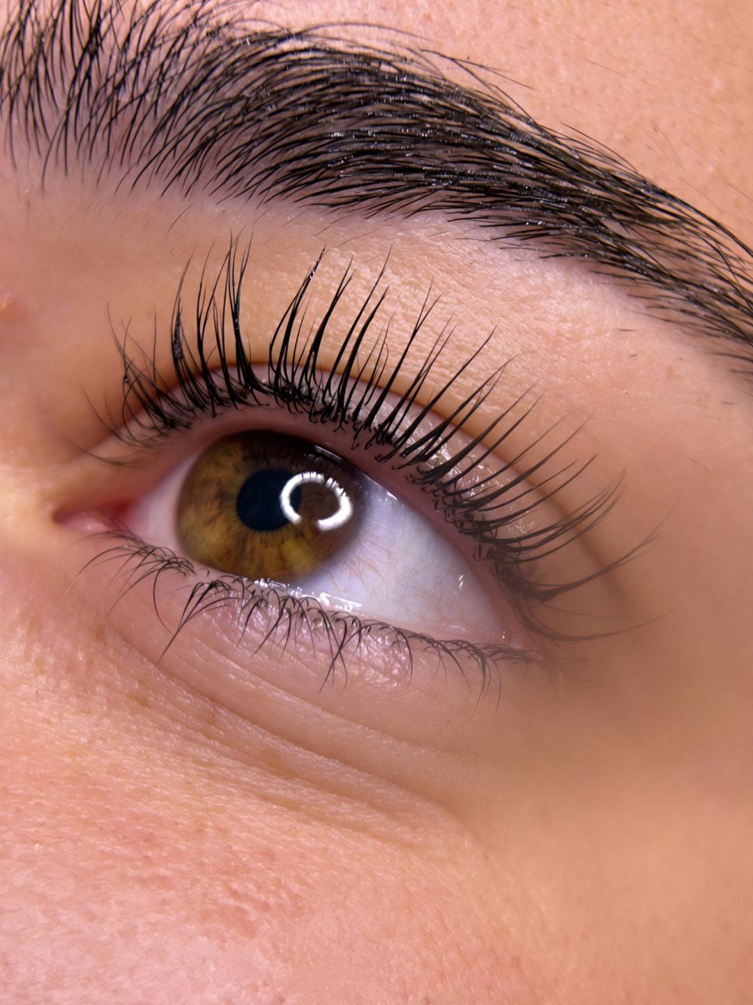 Studio Artistry #beograd Trepavice Lash lift