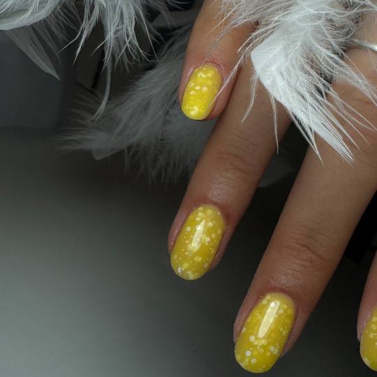 M Studio 0303 - Vojvode Bojovića #novisad Gel lak Gel lak - ruke