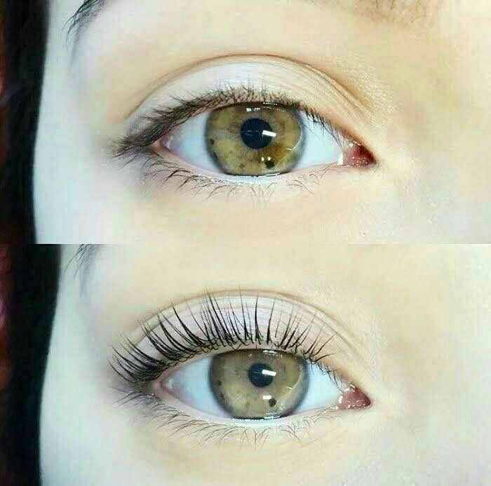 Lash lift + farbanje + Botox - Right Beauty, Beograd Trepavice Lice Trepavice, Beograd, Centar, Stari grad, Dorćol