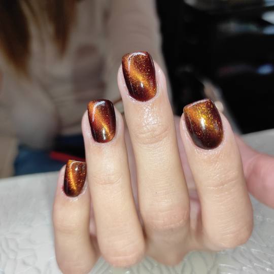 Beauty Bloom #beograd Manikir Manikir i gel lak - Cat eye tehnika Manikir + gel lak