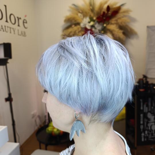 Colore beauty Lab #beograd Farbanje kose Farbanje cele dužine - kratka kosa