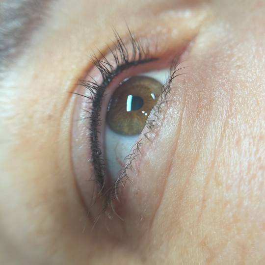 Kult #beograd Trajna šminka Lash liner