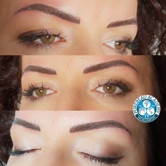 Zirna Exclusive Beauty Center #novisad Obrve