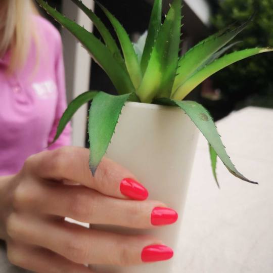 Bibi beauty centar #beograd Gel lak Gel lak - ruke gel lak by bibi