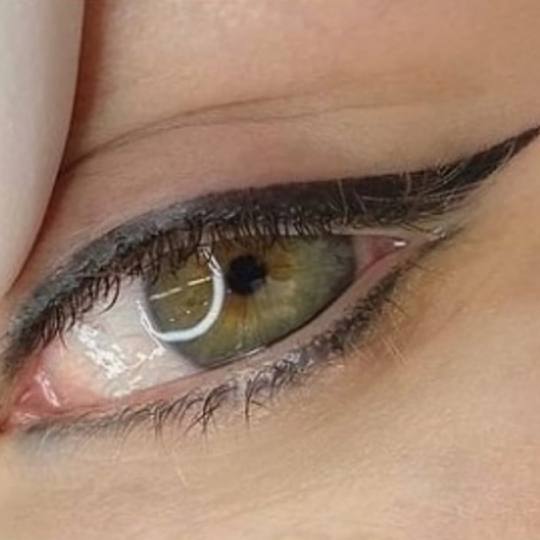 Ksenija Estetik Centar #nis Make-up / šminkanje Trajna šminka kapaka - eyeliner  + korekcija do 3 