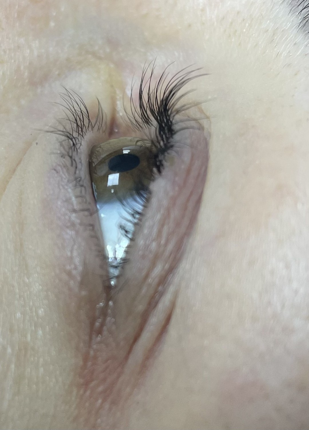 Spago #beograd Trepavice Lash lift + farbanje trepavica
