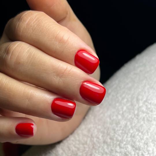 Studio Eleven Ladies&Gentlemen usluga