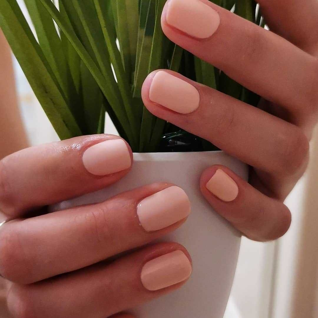 Beauty of Quince #beograd Gel lak Gel lak