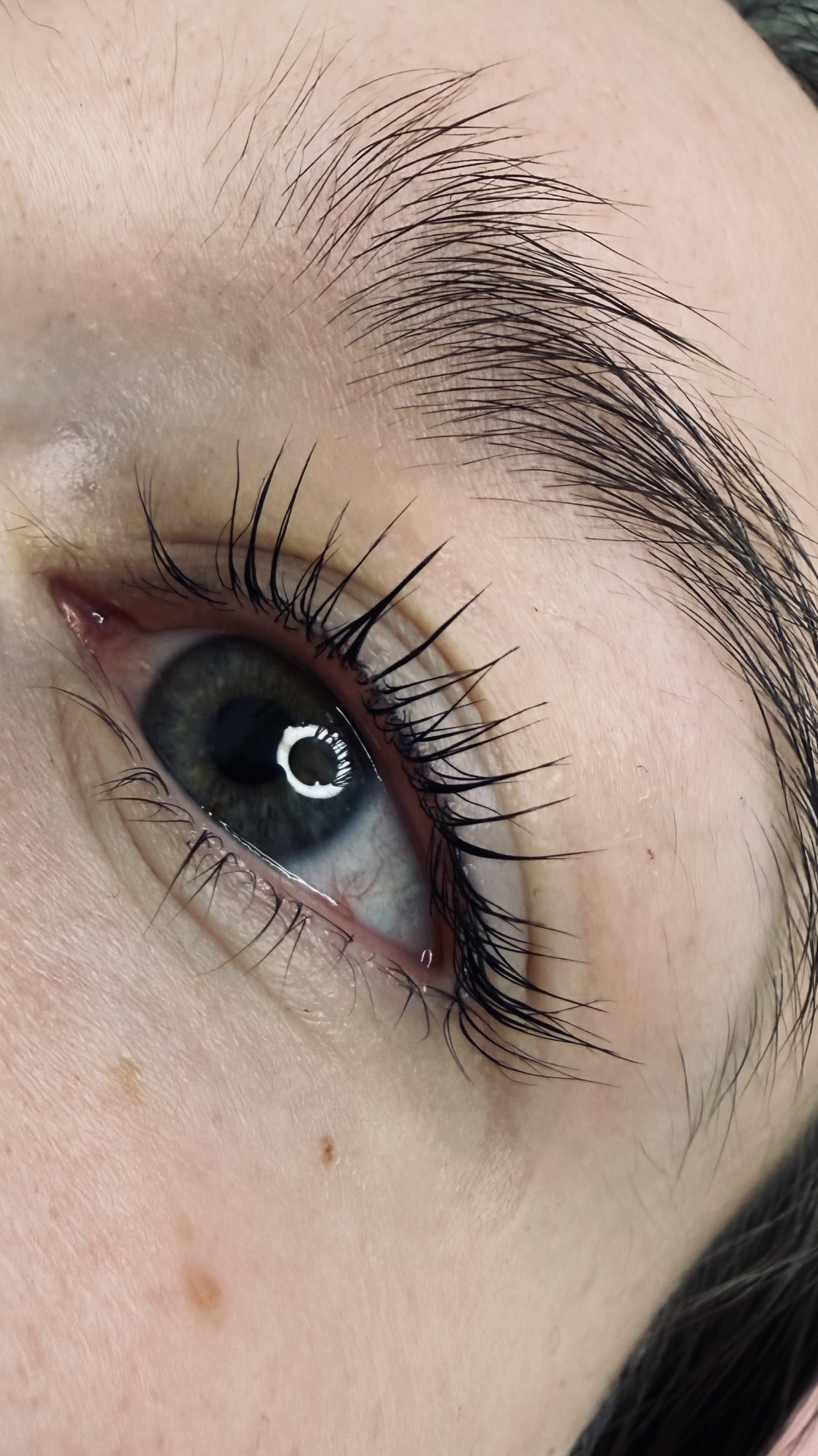 Studio O #novisad Trepavice Laminacija trepavica / lash lift + farbanje