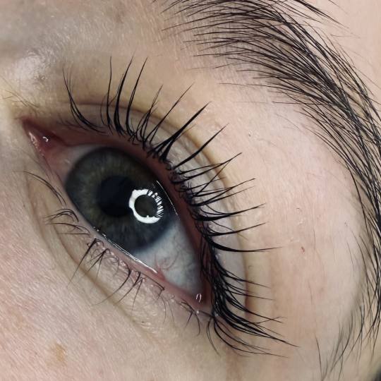 Studio O #novisad Trepavice Laminacija trepavica / lash lift + farbanje