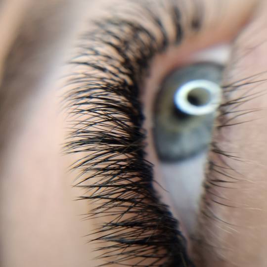 Beauty Studio by Milica Pavlović #beograd Nadogradnja trepavica Korekcija nadogradnje svilenih trep