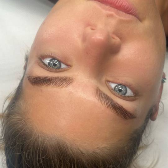 Alexandria Brow&Beauty lounge #beograd Obrve Brow lift