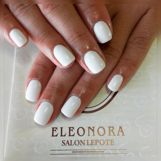 Eleonora #beograd