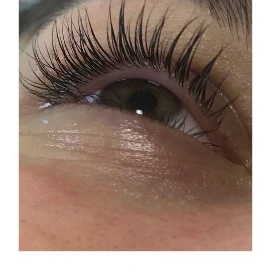 Estetic star by Maya #beograd Trepavice lash lift Lash lift