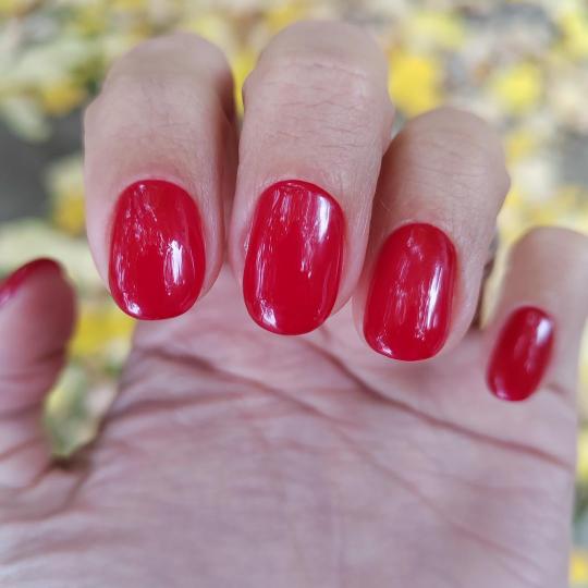 Fearless Beauty Studio usluga