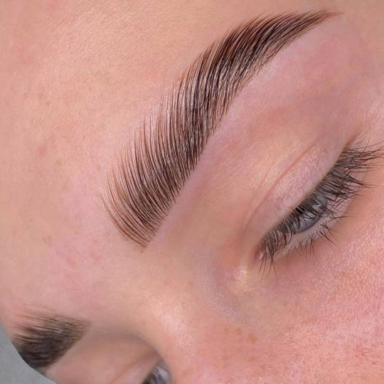 Le Risque #beograd Obrve Modeliranje obrva + farbanje + brow lift + botoks