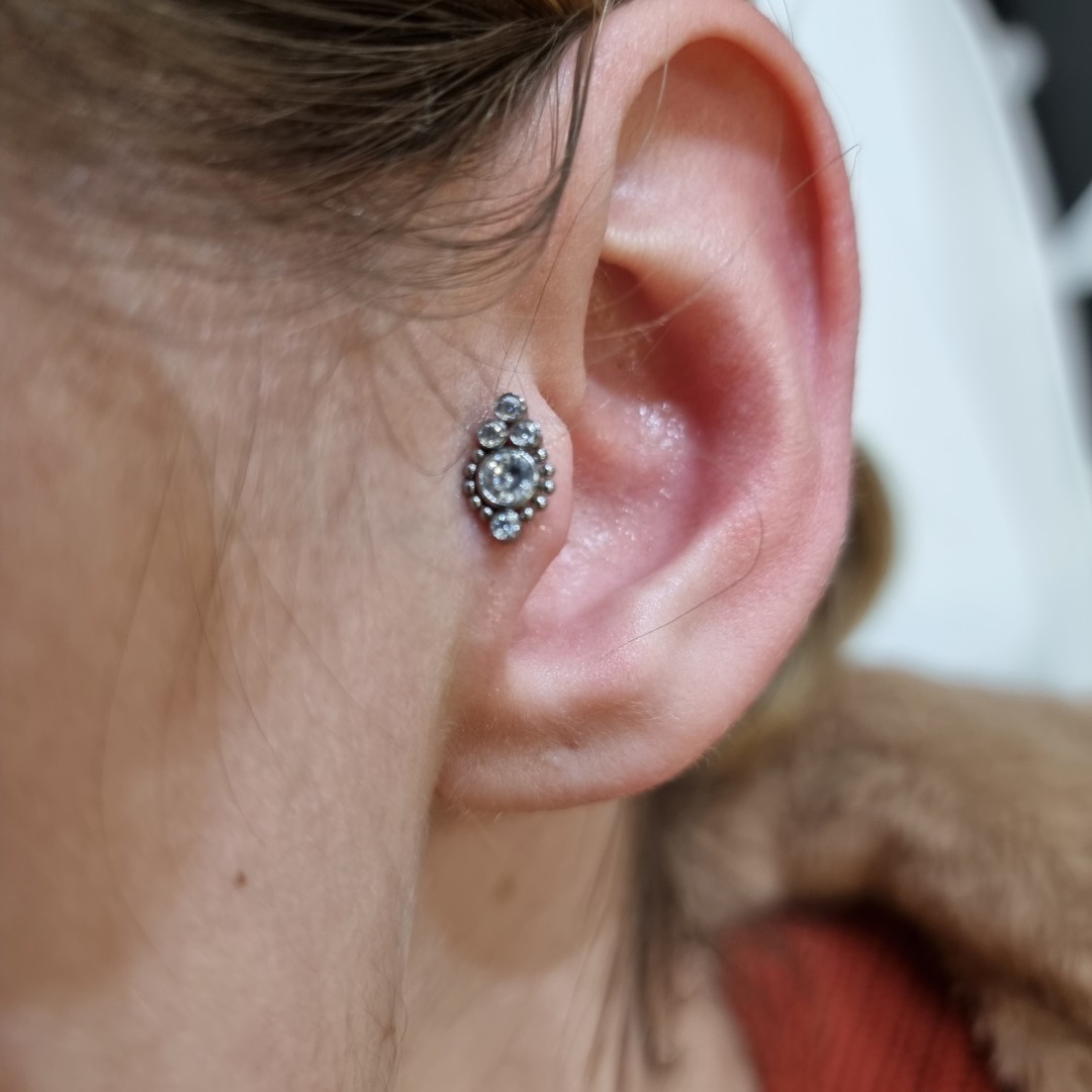 Bling Bling Piercing #beograd Tretmani tela Pirsing - Tragus