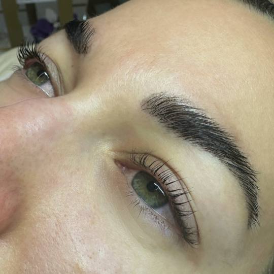 AnMi #novisad Obrve Brow lift