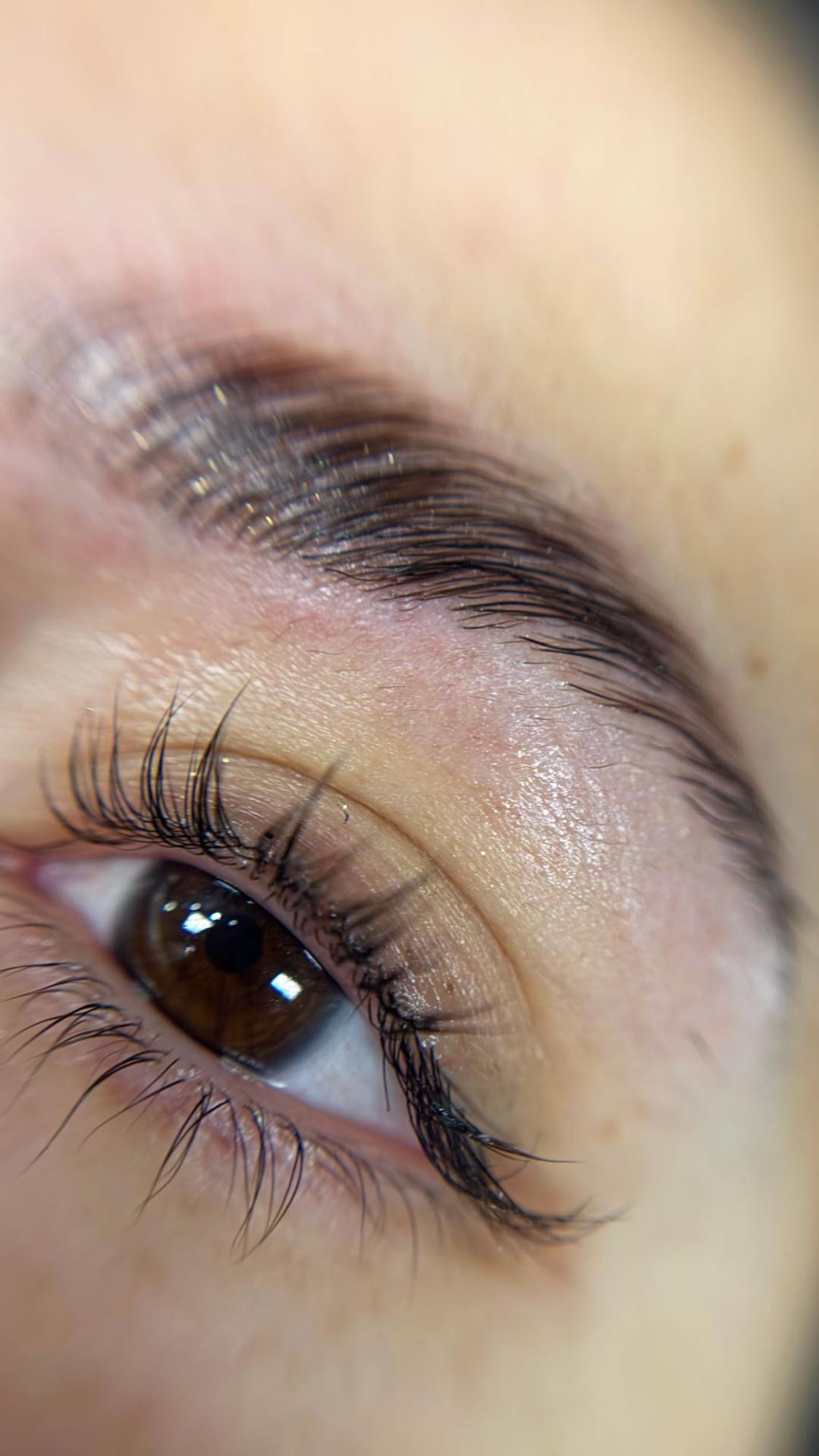Lash lift + brow lift - Alexandria Brow&Beauty lounge, Beograd Trepavice Lice Trepavice, Beograd, Centar, Stari grad, Dorćol