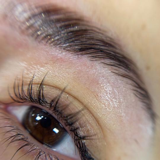 Alexandria Brow&Beauty lounge #beograd Trepavice Lash lift + brow lift