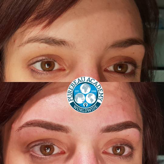 Zirna Exclusive Beauty Center #novisad Obrve