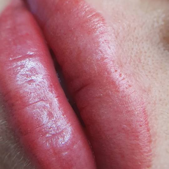 Studio O #novisad Trajna šminka Trajna šminka - akvarel usne