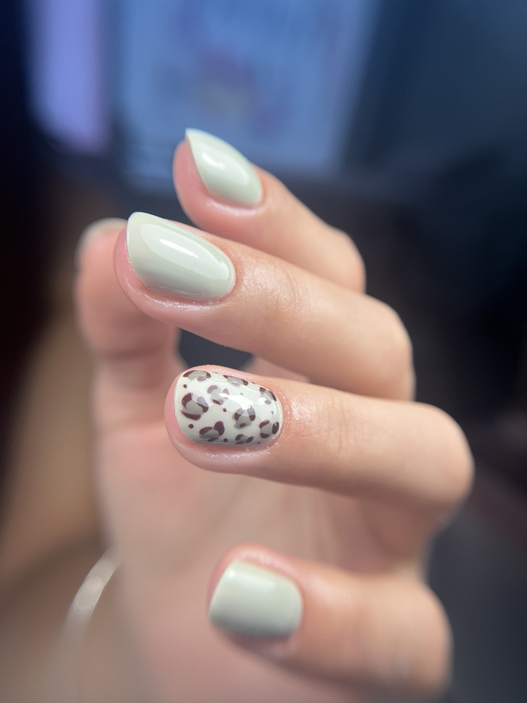 Studio Twinkle #krusevac