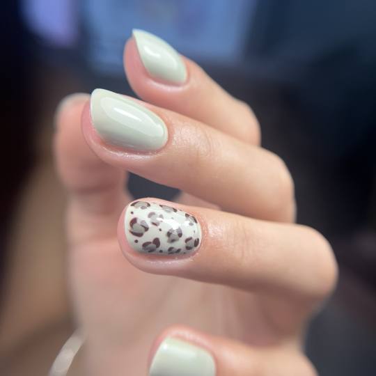 Studio Twinkle #krusevac