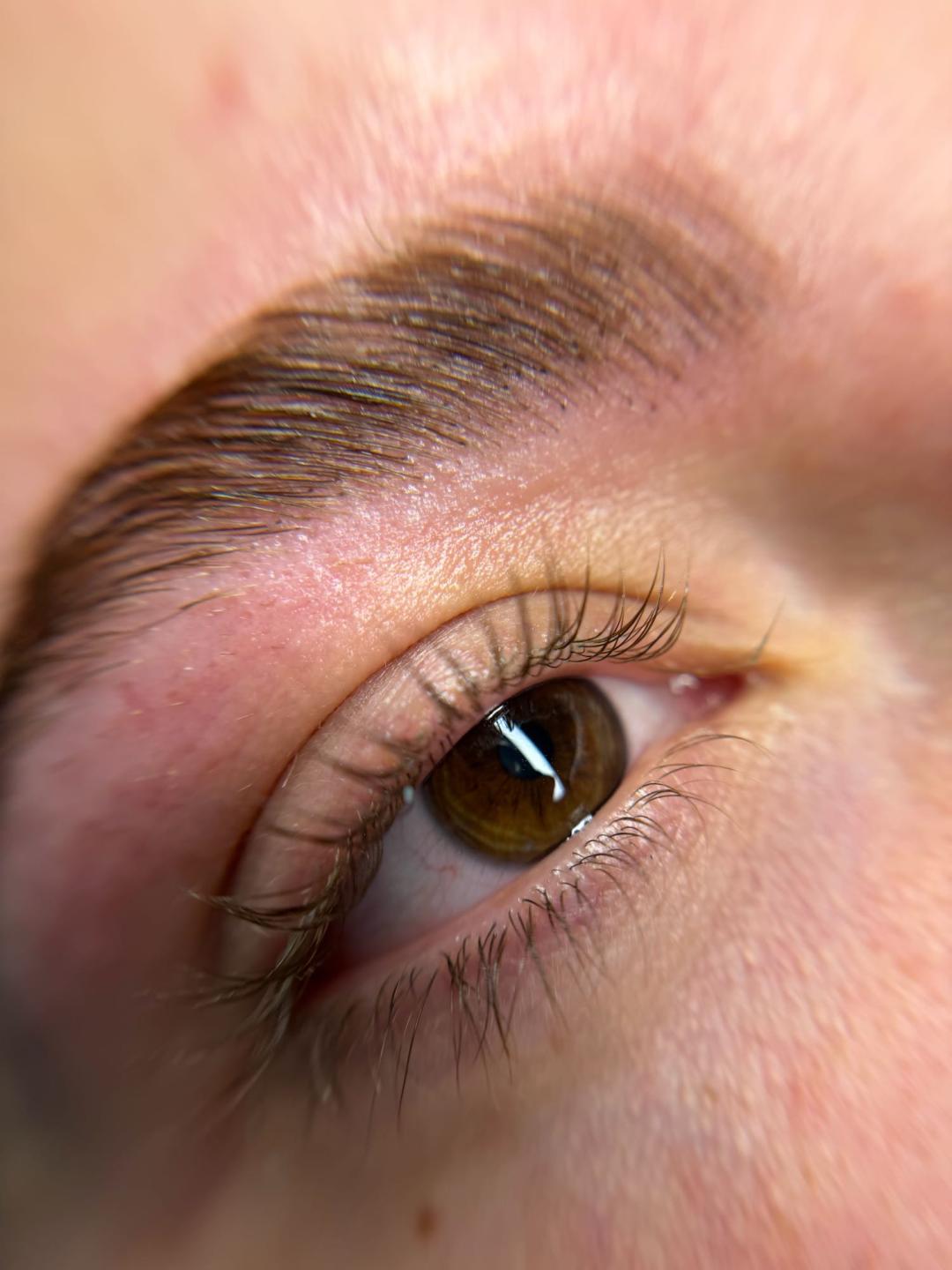 Alexandria Brow&Beauty lounge #beograd Trepavice Lash lift + brow lift