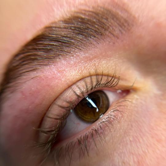 Alexandria Brow&Beauty lounge #beograd Trepavice Lash lift + brow lift