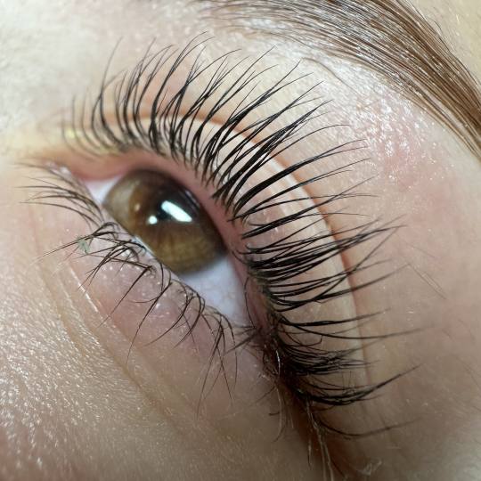 Let's go Ladies #beograd Trepavice Lash lift + farbanje trepavica + Botox