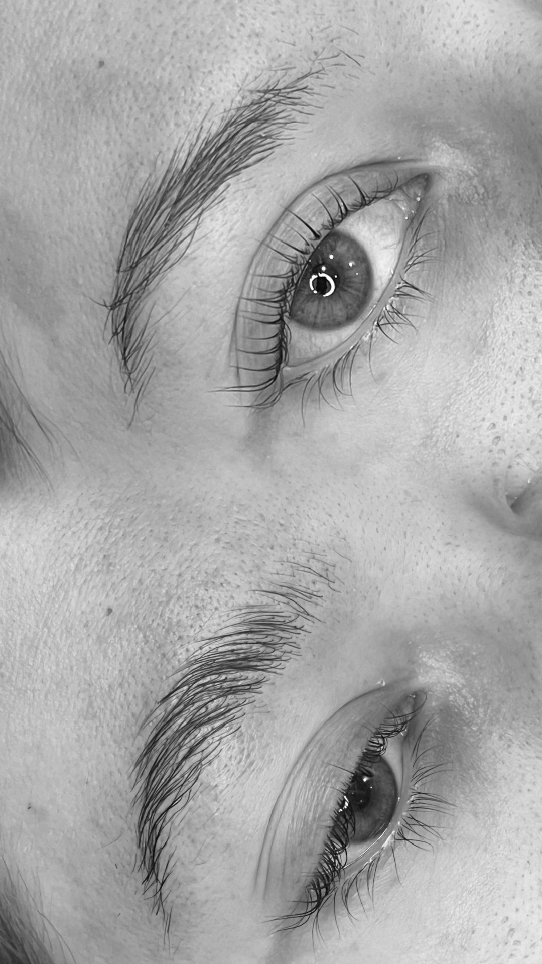 MV Studio #beograd Trepavice Lash lift