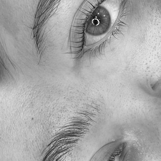 MV Studio #beograd Trepavice Lash lift