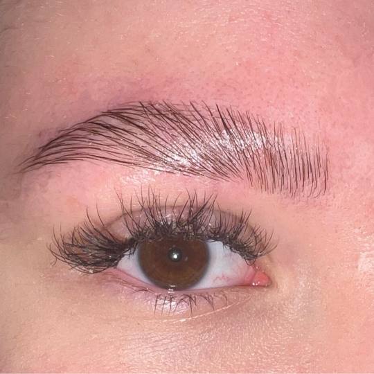 Persefona beauty #beograd Obrve Brow lift + oblikovanje + farbanje obrva