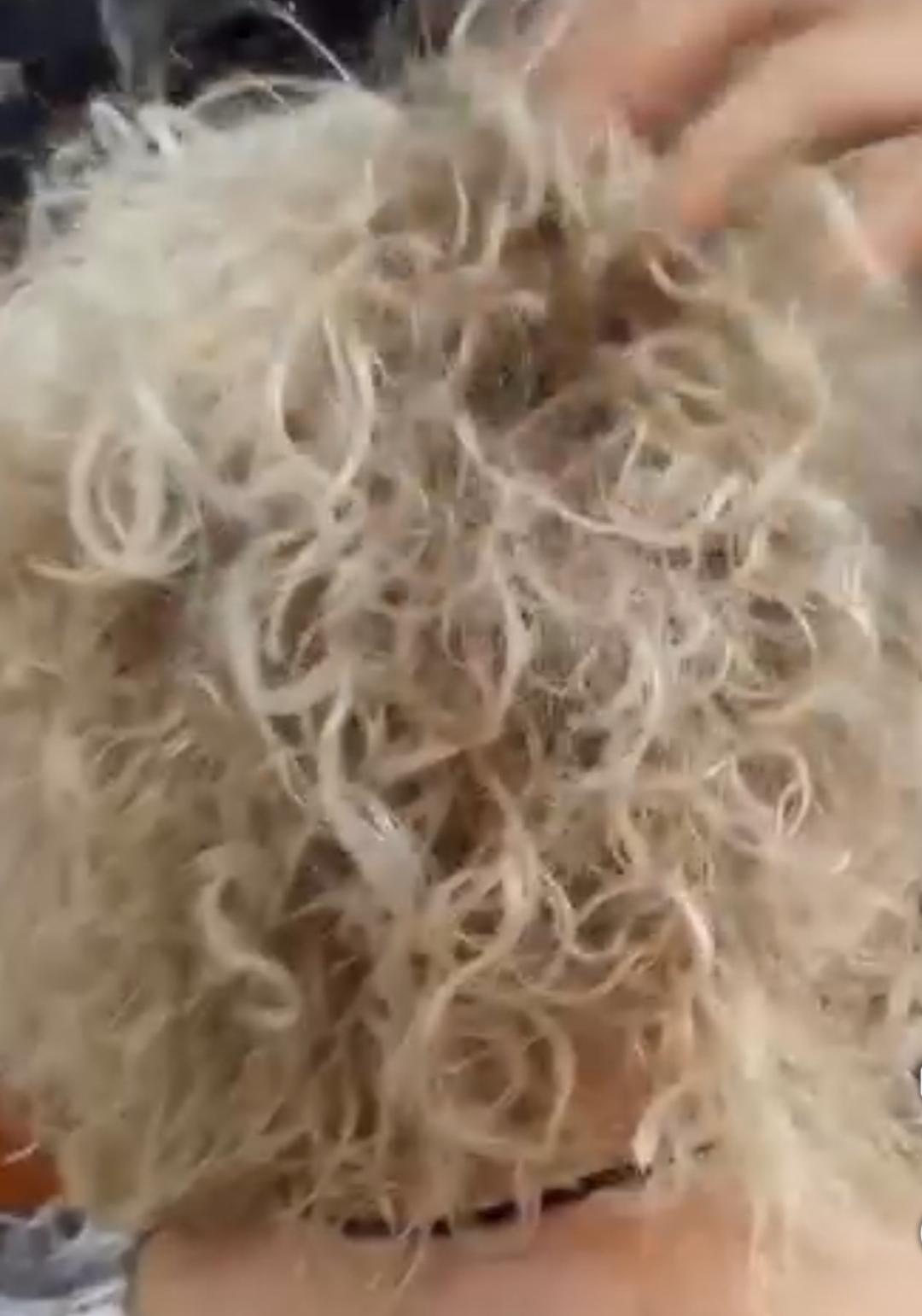 Beauty by Gordana 014 #beograd Minival Mini-val - kratka kosa