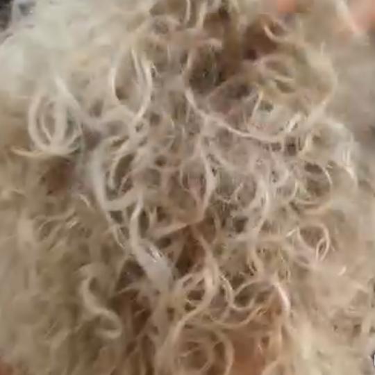 Beauty by Gordana 014 usluga